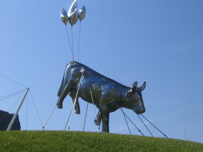 photo of the cow float designed by Rod Chisholm