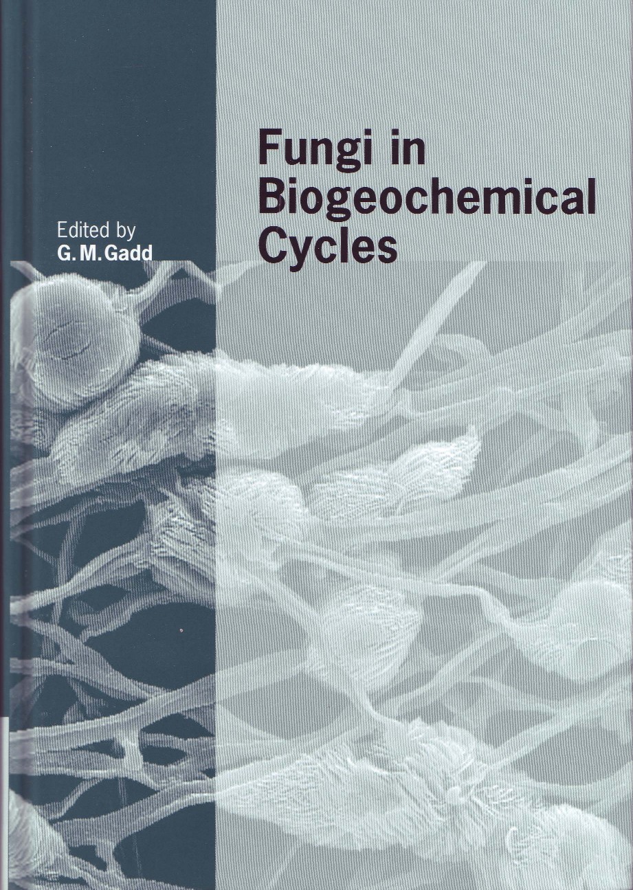 cover image of the book Fungi in Biogeochemical Cycles