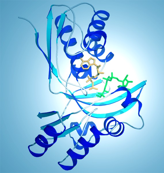 a picture of a chemical model of a parasitic molecule