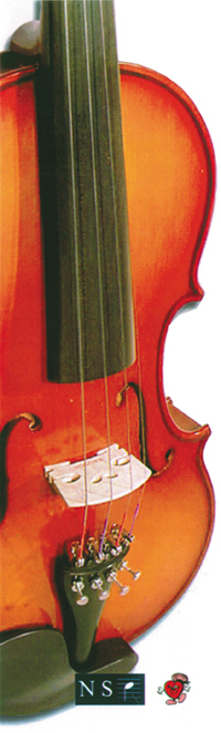 a photo of violin