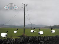 a photo of sheep abduction animations