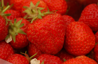 a photo of strawberries