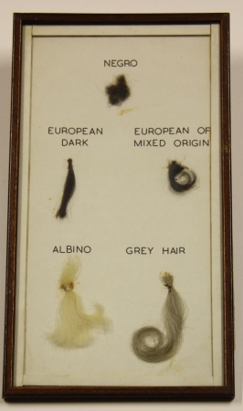 display of various hair