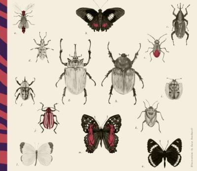 Insects from the West Indies