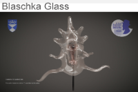 Blaschka glass 