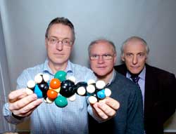 photo of left to right: Profs Paul Wyatt, Michael Ferguson and Alan Fairlamb