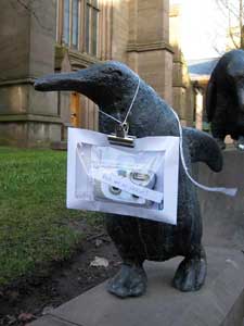 Pic show one of the kits left around the neck of a penguin statue in Dundee